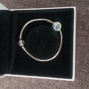 Pandora bracelet